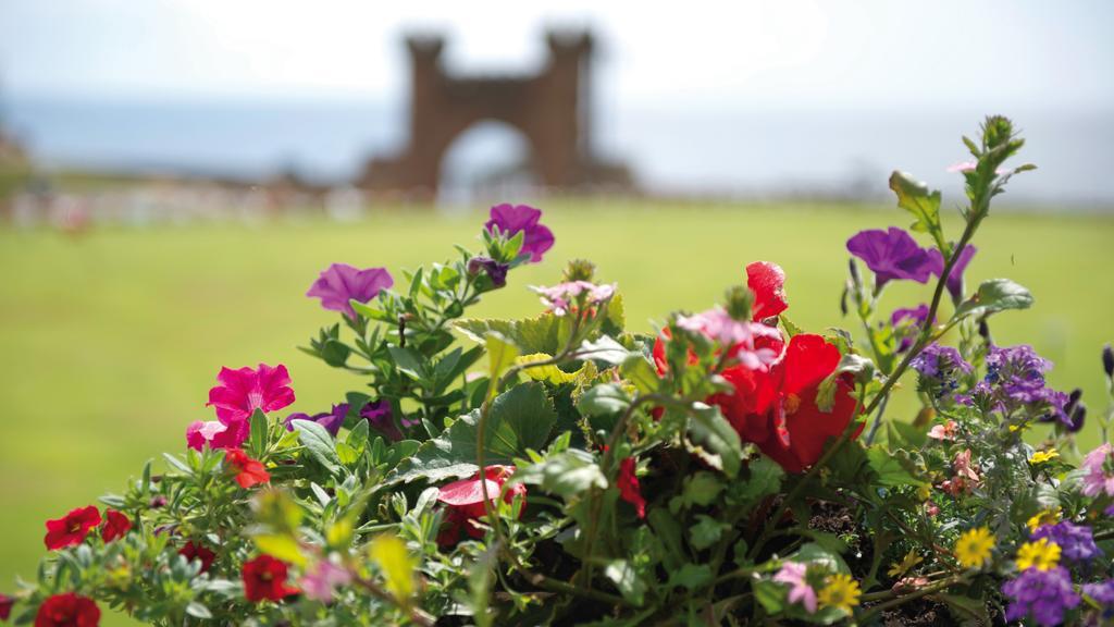 The Belmont Hotel - Adults Only Sidmouth Esterno foto